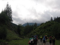 В горы